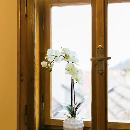 Apartmán U Krále Brabantského