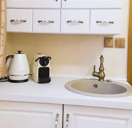 U Krale Brabantskeho דירה *